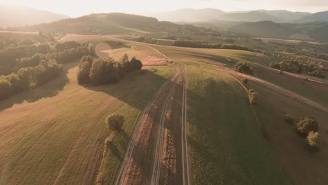 aerial footage from a racing drone following an unpaved road in a beautifully sunlit mountain scenery with trees casting long shadows