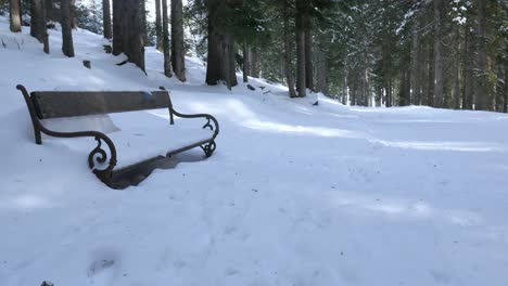 Un-Banco-Cubierto-De-Nieve-En-Un-Sendero-De-Montaña-En-Un-Bosque-De-Abetos-De-Invierno-En-Un-Día-Soleado