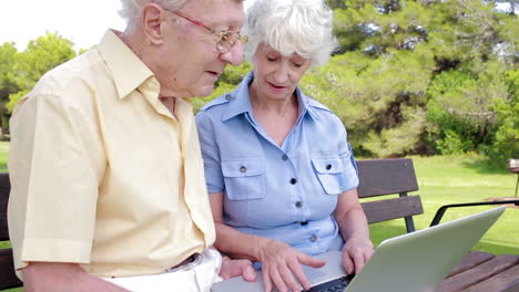 una pareja de ancianos en el parque con una computadora portátil