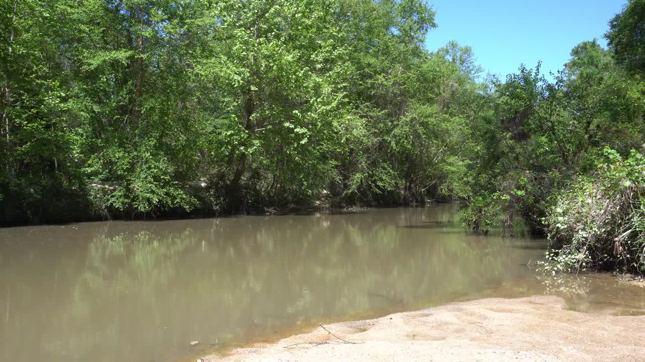 este es un corto video de un pequeño río, que fluye a través de un bosque, en una tarde soleada, con un cielo azul claro