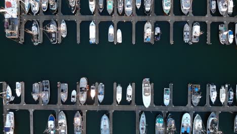 aerial top-down eye’s bird drone view over rows of boats fisherman and luxury yacht moored at ocean harbor in westport oregon