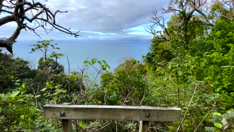 a view of trees, the ocean, and clouds in the sky from overlook in front of a wooden railing