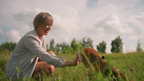 dog owner playfully giving handshake to pet while squatting in grassy field with butterfly perched on dog's ear, owner and dog interacting happily under clear sky with trees in background