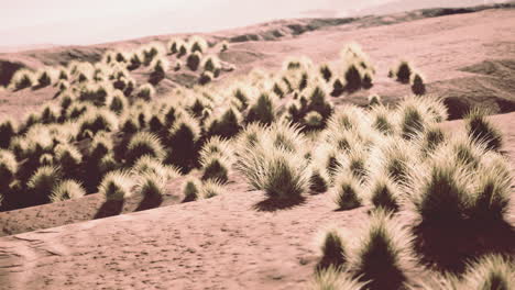 Red-Rock-Canyon-Nationalpark