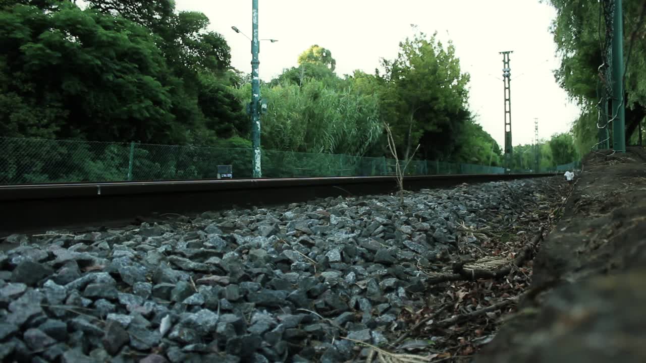 Train Passing by on Railway Tracks in Nature
