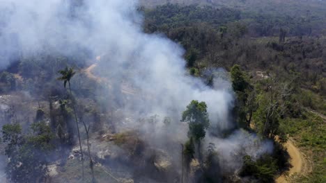 Im-Amazonas-Regenwald-Wüten-Waldbrände,-Die-Zur-Abholzung-Der-Wälder-Führen-Und-Zur-Globalen-Erwärmung-Beitragen-–-Luftaufnahme-Zurückziehen