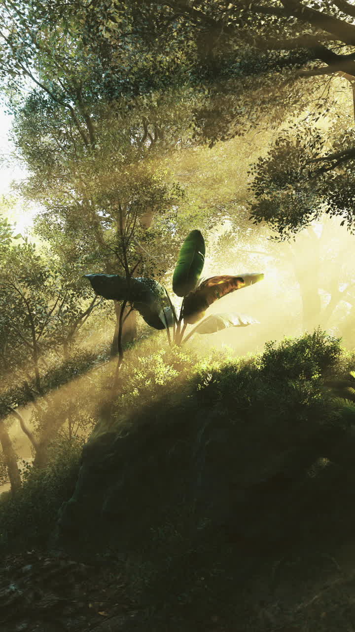 Sunlight filtering through lush trees in a serene forest setting