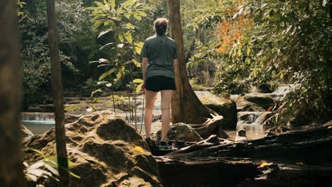 Filmische-Zeitlupenaufnahme-Eines-Jungen-Erwachsenen,-Der-Den-Wald-Im-Nationalpark-Erkundet