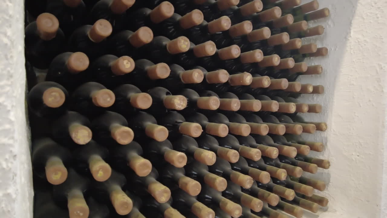 Wine bottles in a winery cellar