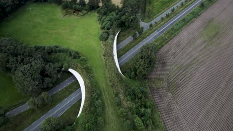 backwards aerial movement showing a road traversed by wildlife crossing forming a safe natural corridor bridge for animals between conservancy areas