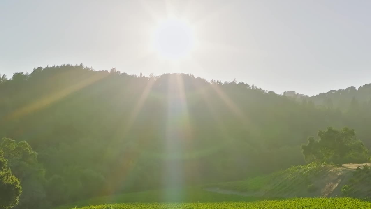 Aurinko paistaa viinitarhojen yllä Napa Valleyn laaksossa, Kaliforniassa päiväsaikaan