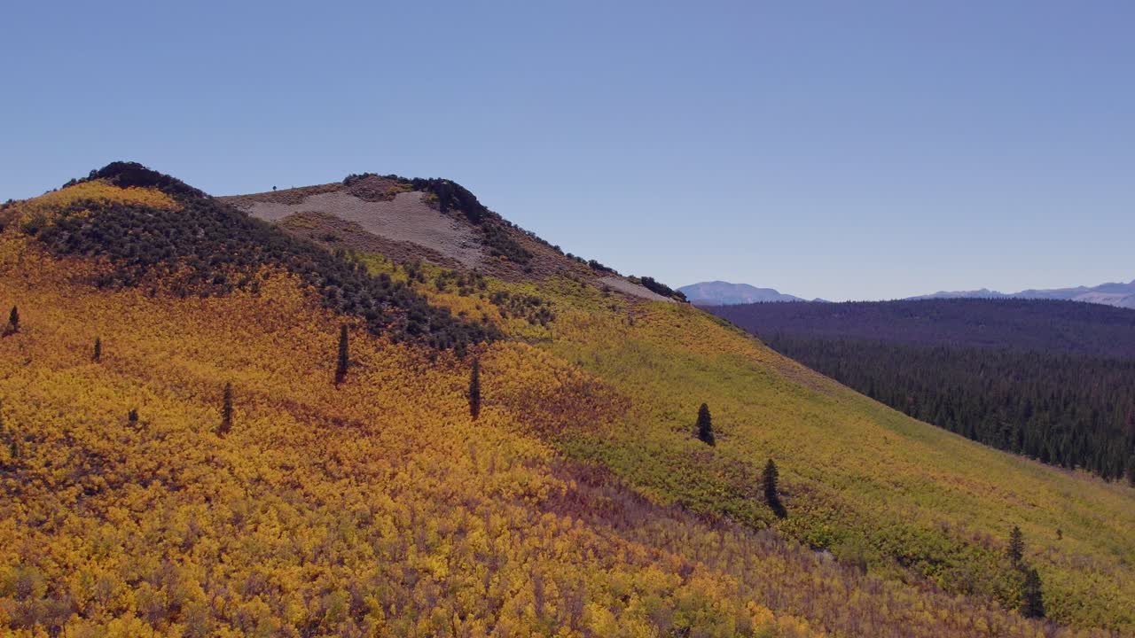 Fall Colors at Sage Hen Summit in Mono County, California - Aerial forward shot showing a lone tree on top of the mountain