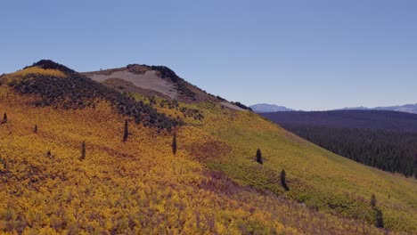 fall colors at sage hen summit in mono county, california - aerial forward shot showing a lone tree on top of the mountain