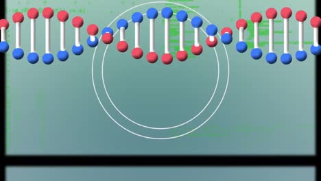 animación de cadenas de adn y círculos sobre el procesamiento de datos