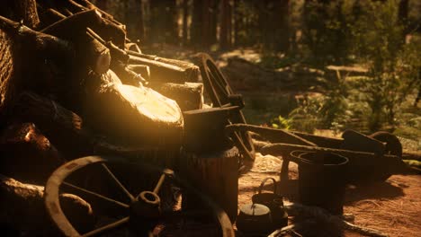 preparación de leña para el invierno en el bosque al atardecer