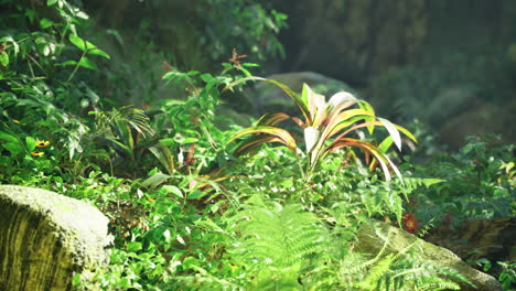 lush green foliage thrives in natural sunlight within a serene forest
