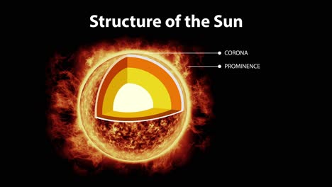 detailed visualization of the sun's internal layers