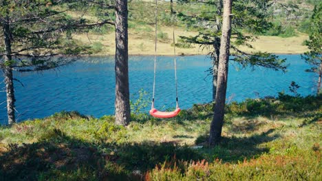 empty swing hanging on trees near lakeshore