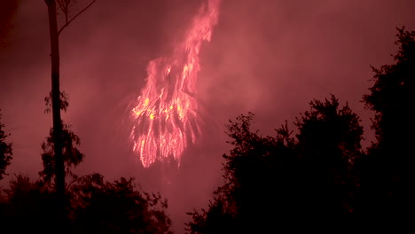 una palmera estalla en llamas por la noche durante el incendio festivo en goleta california