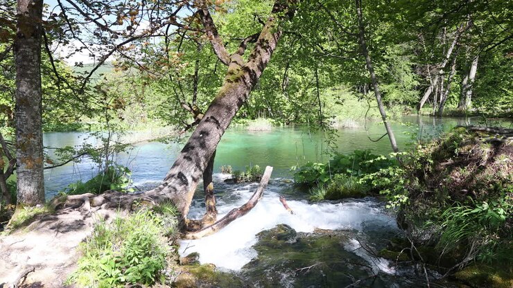 Plitvice 4K 23