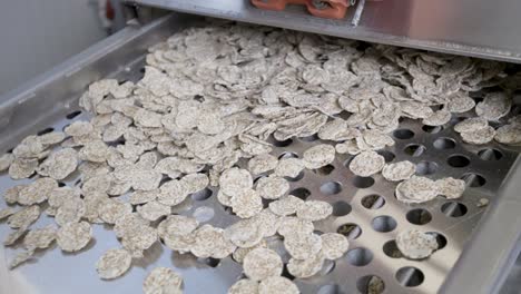 Close-shot-of-a-einkorn-chips-coming-out-of-a-machine