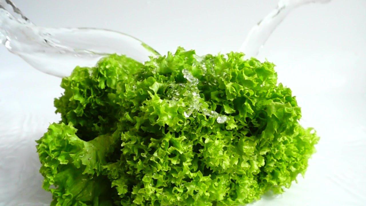 Salatblätter waschen in Zeitlupe.