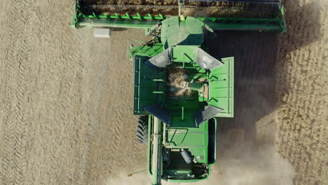 aerial top down close up of green combine harvester harvesting wheat grains