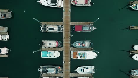 aerial drone top down point of view of halibut fishing boats docked in marina in homer alaska harbor