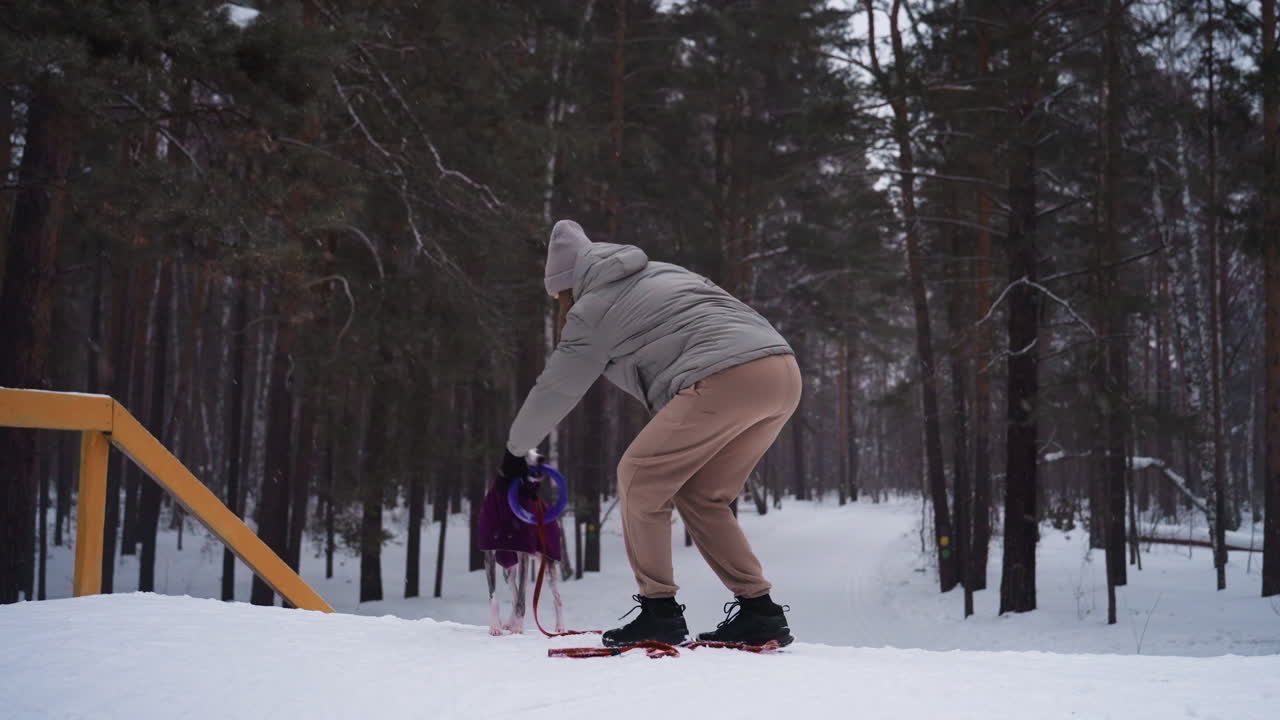 Woman interacts with playful dog wearing purple coat in snowy forest as dog holds ring toy in mouth. Woman leans forward engaging with pet during active outdoor training session surrounded by pine trees