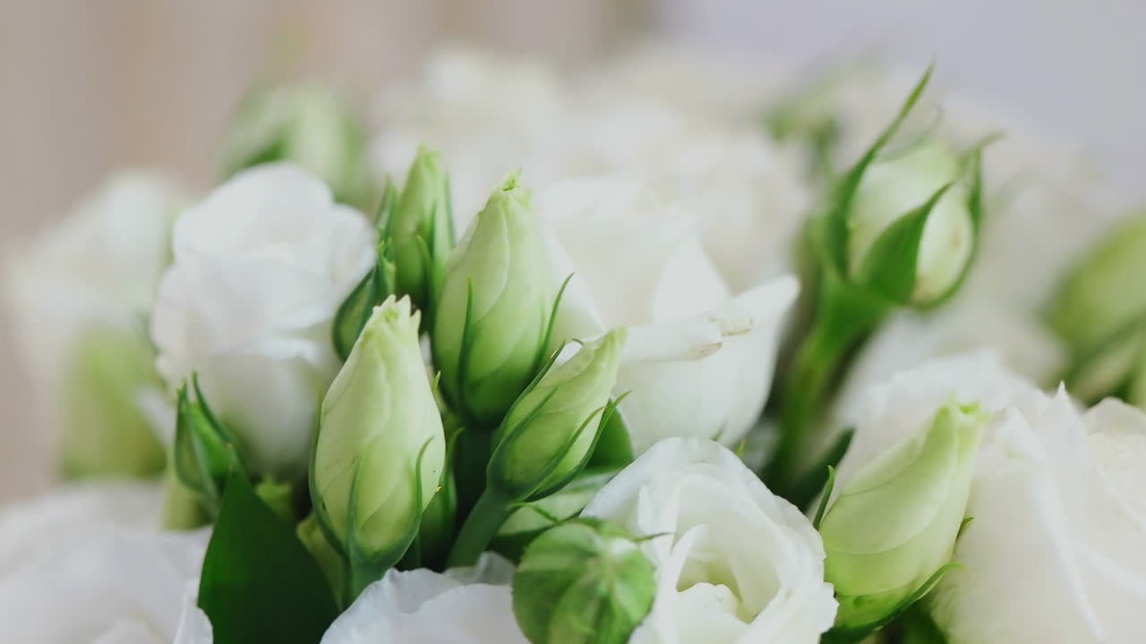 아름다운  꽃줄기