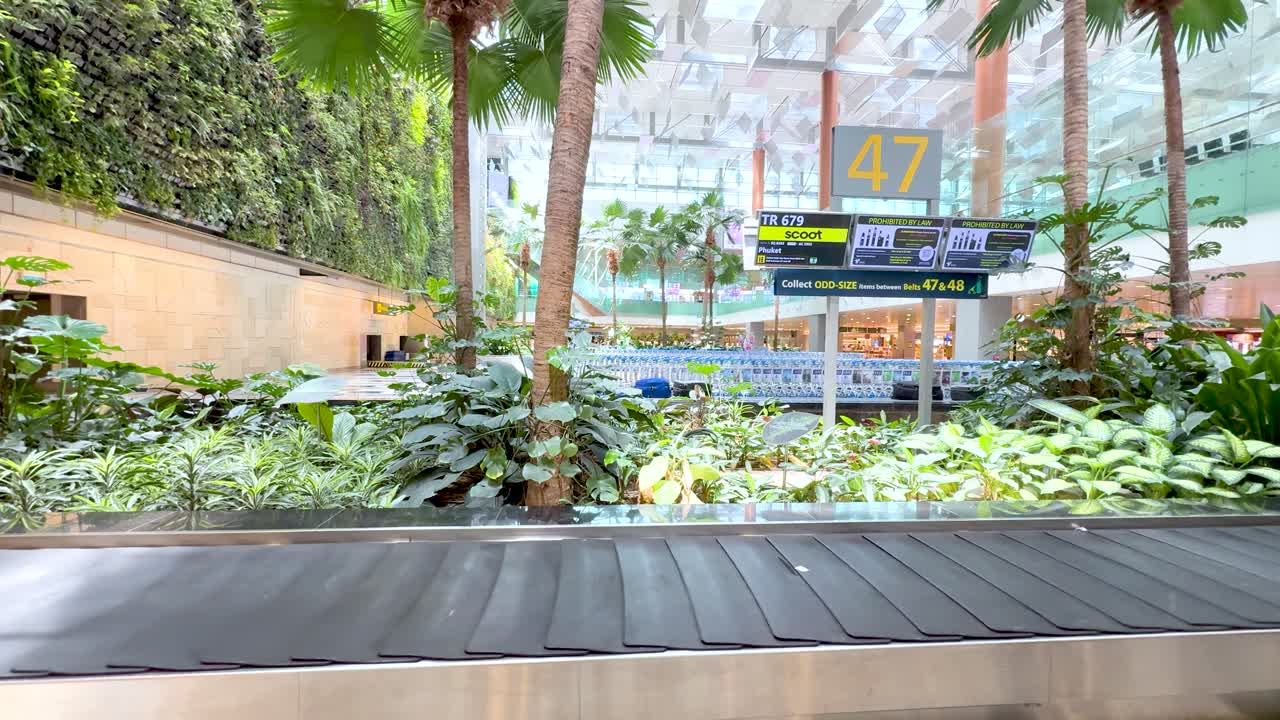 Toma amplia estática de una cinta transportadora de equipaje vacía delante de un exuberante jardín vertical tropical