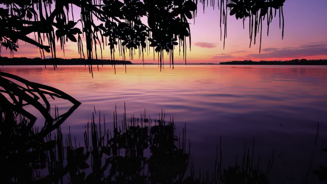 Sunset Over a Mangrove River