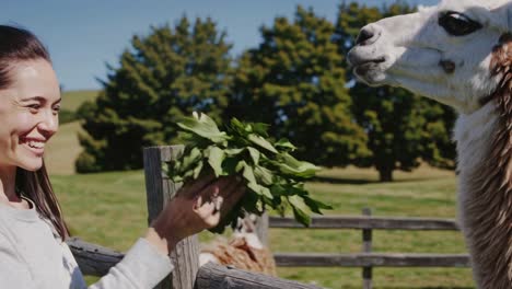 woman feeding a llama