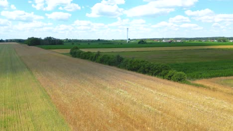 panoramic view of wind farm or wind park, with high wind turbines for generation electricity with copy space