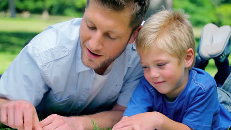 father talking to his son and pointing to the ground as they lie in the grass