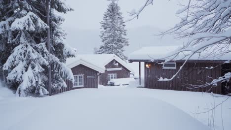 cabins in forest woods covered in snow during winter in indre fosen, norway - wide