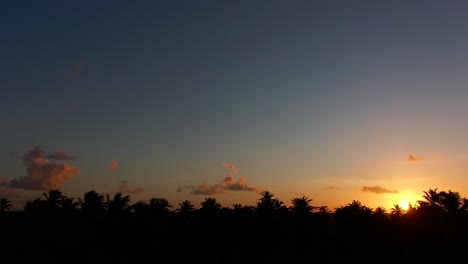 Drone-Sunset-in-the-Caribbean-island-Trinidad-and-Tobago,-drone-flying-over-coconut-trees-viewing-the-sunset