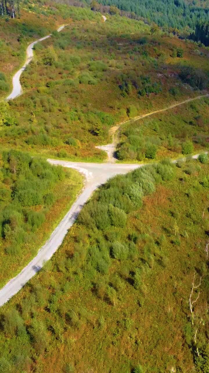 Video verticale con ripresa aerea inclinata verso l'alto di una fitta foresta circondata da un sentiero tortuoso di ghiaia che conduce verso diversi luoghi