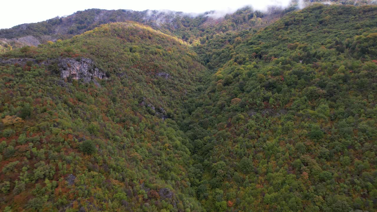 paisaje de naturaleza pacífica en otoño de montaña con bosque colorido, pendiente rocosa y niebla
