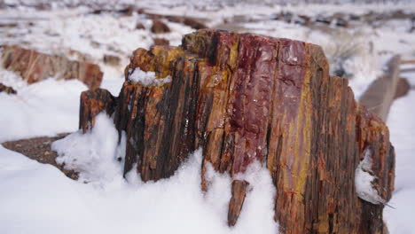 gimbal shot of petrified wood in the petrified forest