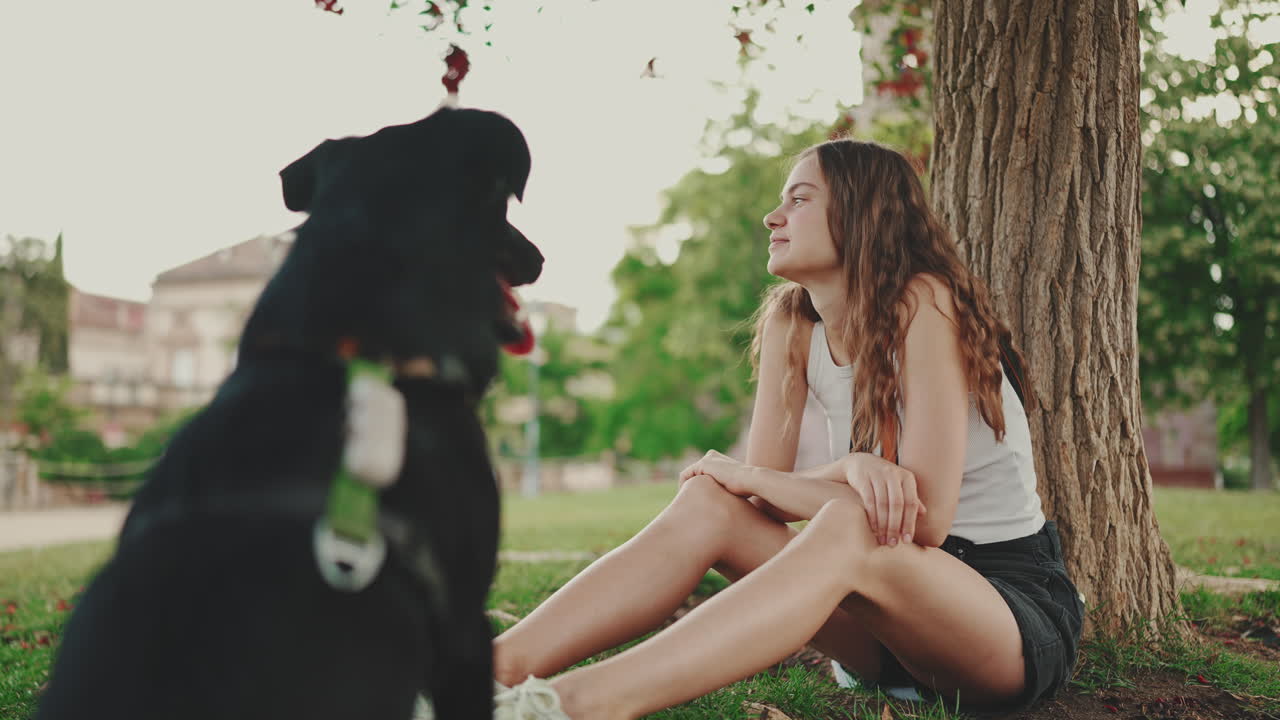 Donna seduta con il suo cane sotto un albero nel parco