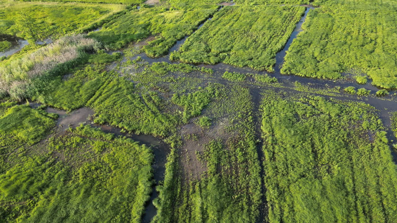la inclinación hacia arriba revela el prado de bourgoyen-ossemeersen cerca de gante, bélgica