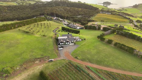 waiheke island with houses on top of a mountain among the vineyards