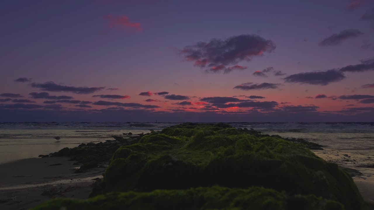 ビーチの赤い夕焼け、背景には立つカモメのシルエット、突堤越しのローアングル