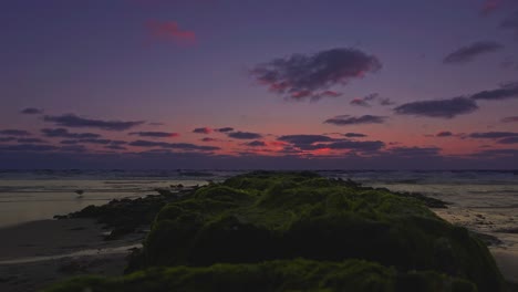 red sunset at a beach with silhouettes of standing seagulls in the background, low angle view over a groyne