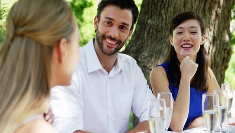 Gruppe-Von-Freunden,-Die-Spaß-Beim-Mittagessen-Haben