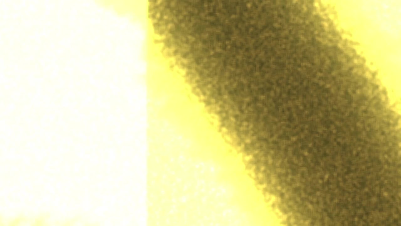 Transición abstracta vibrante con fuga de luz granulada