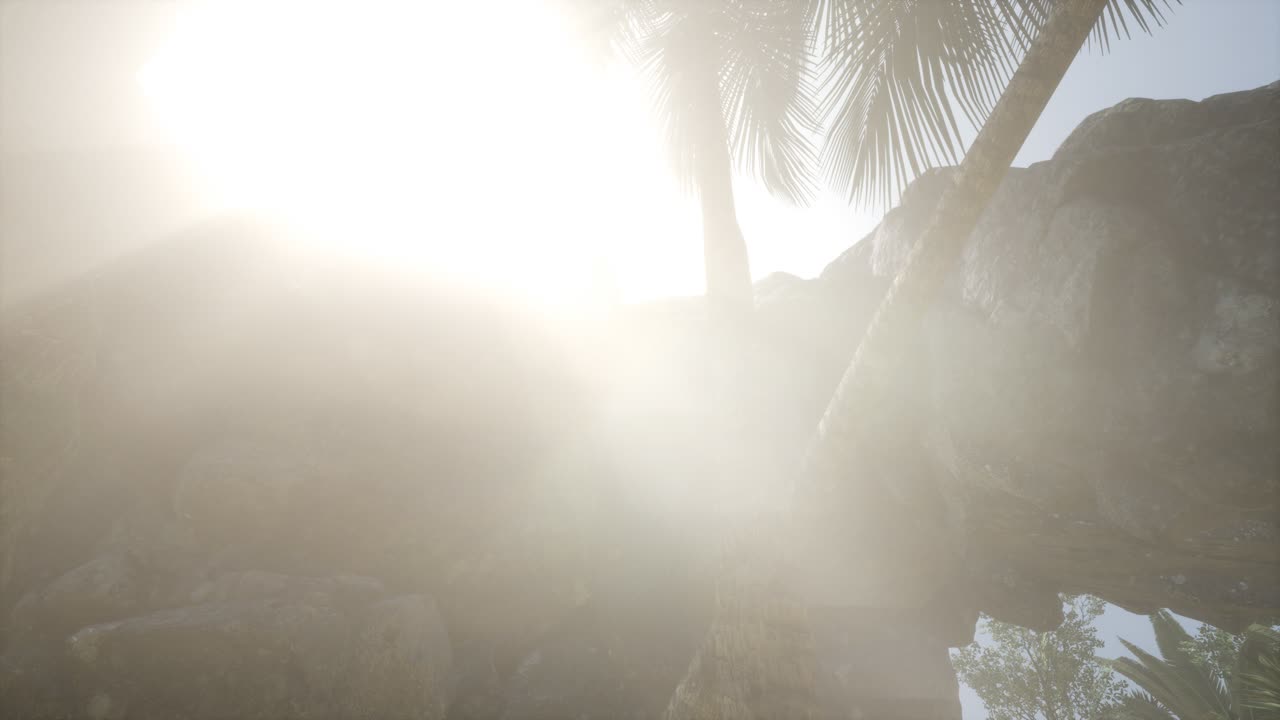 grandes palmeras en la cueva de piedra con rayos de luz solar