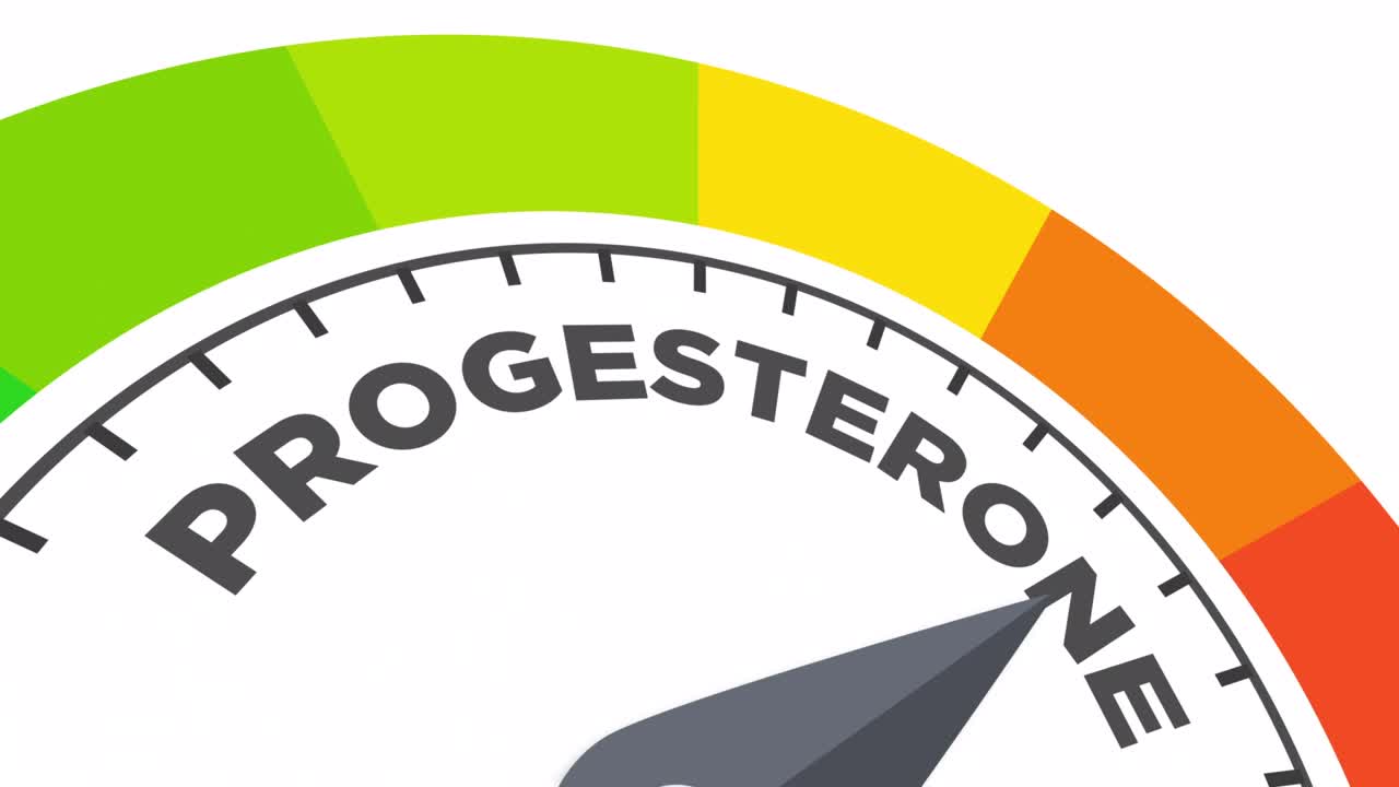 프로게스테론 수준 애니메이션