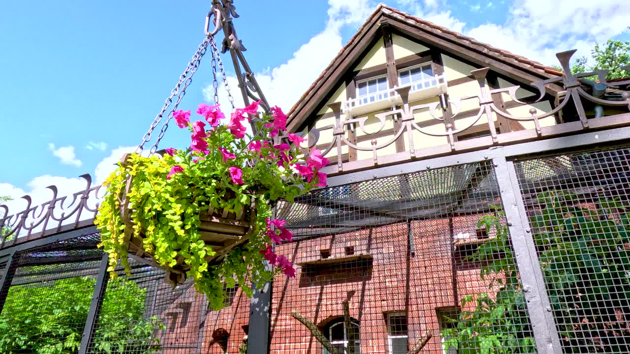 A vibrant hanging flower basket gently sways in the breeze outside a traditional brick and timber building under bright daylight in Berlin, Germany